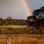 When Light Becomes the Story